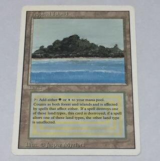 tropical island  land  リバイズド