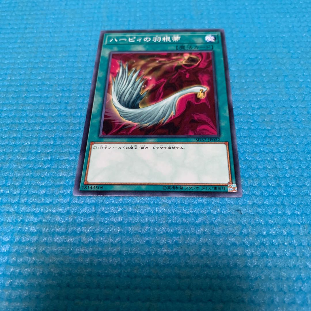 ハーピィの羽根帚