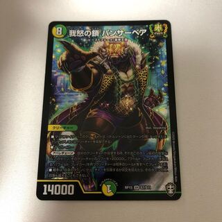 我怒の鎖 パンサーベア