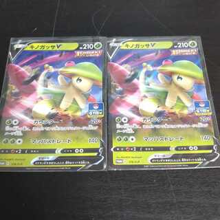 ポケモンカード　キノガッサV  ジムバトル　プロモ　2枚