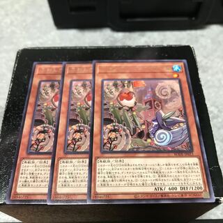 ふわんだりぃず×ろびーな レア3枚