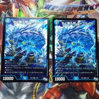 水上第九院 シャコガイル