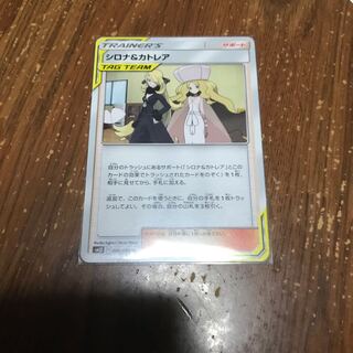 シロナ&カトレア