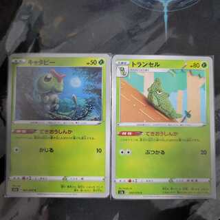 ポケカ キャタピー トランセル 進化 てきおうしんか 1枚