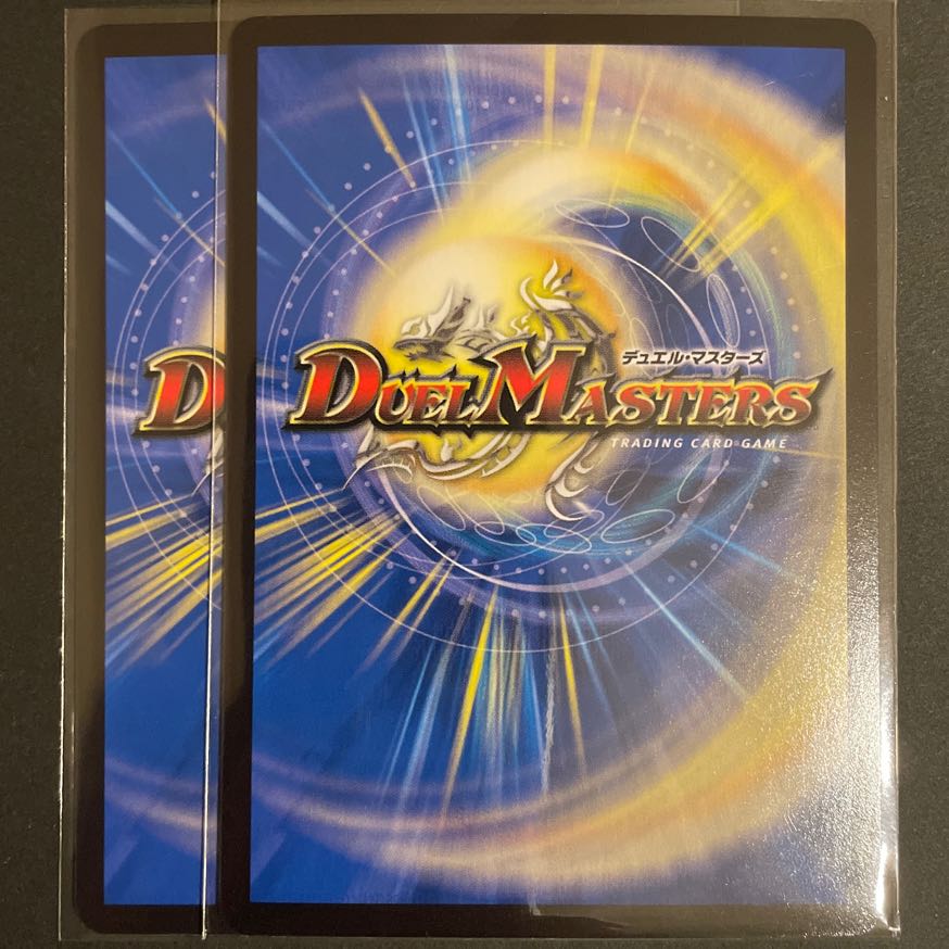 禁断竜秘伝エターナルプレミアムズ VR       2枚セット