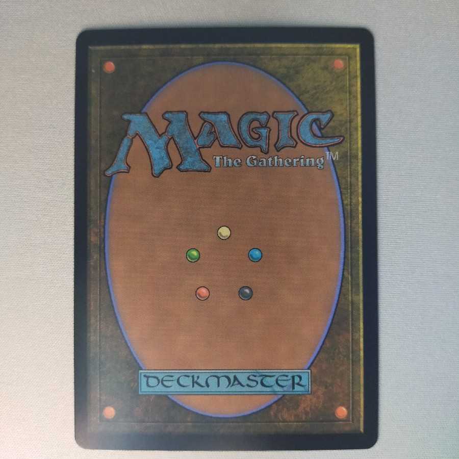 蜘蛛の女王、ロルス　【ボーダーレス】