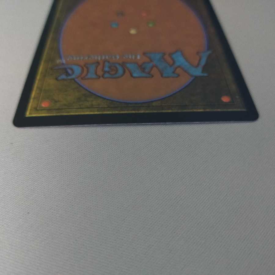 蜘蛛の女王、ロルス　【ボーダーレス】