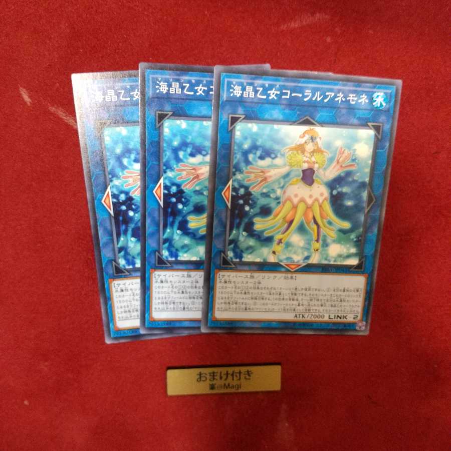 海晶乙女コーラルアネモネ ノーマル