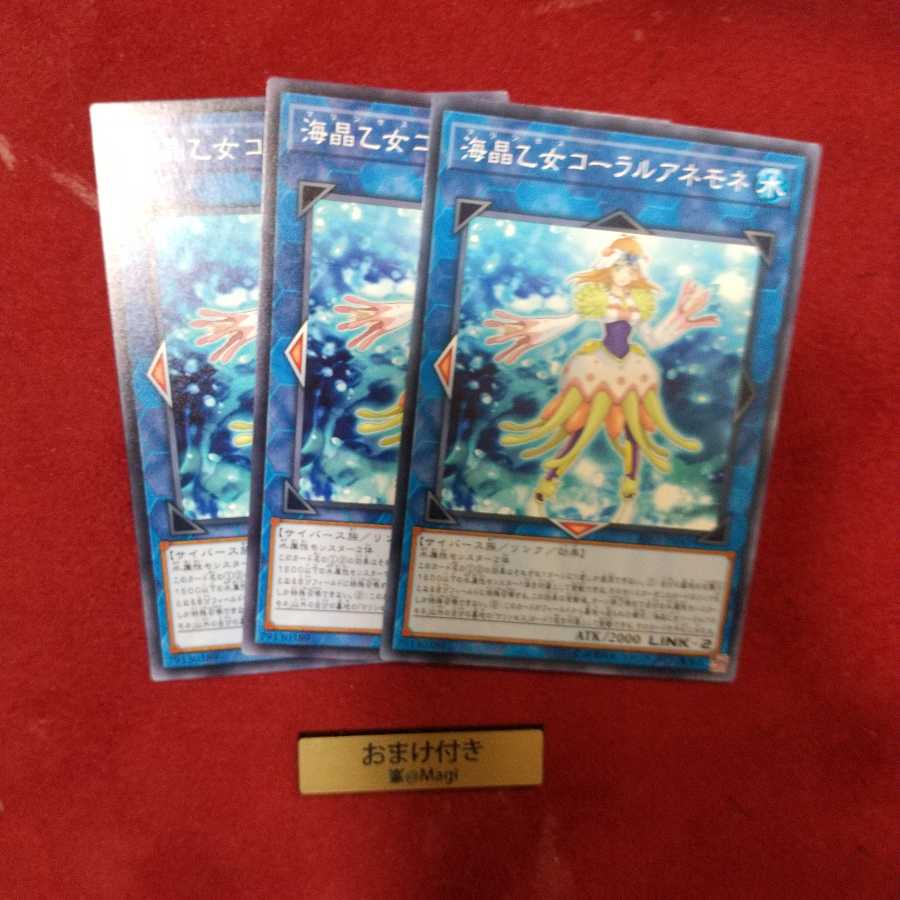 海晶乙女コーラルアネモネ ノーマル