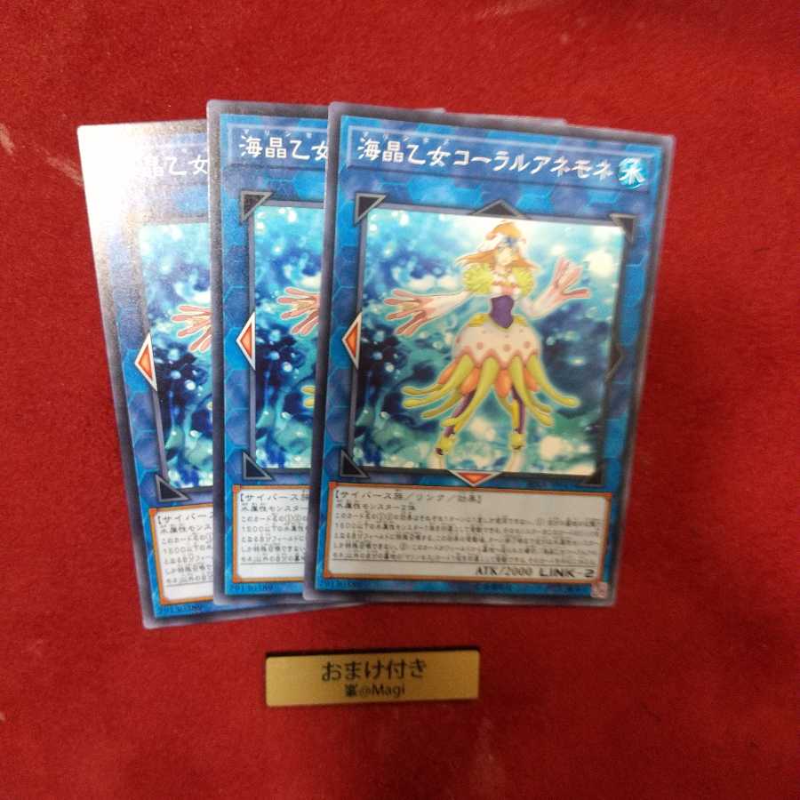 海晶乙女コーラルアネモネ ノーマル