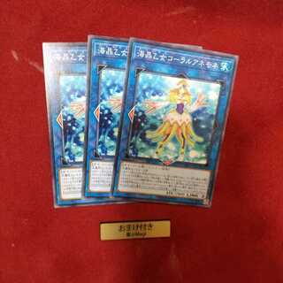 海晶乙女コーラルアネモネ ノーマル