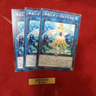 海晶乙女コーラルアネモネ ノーマル