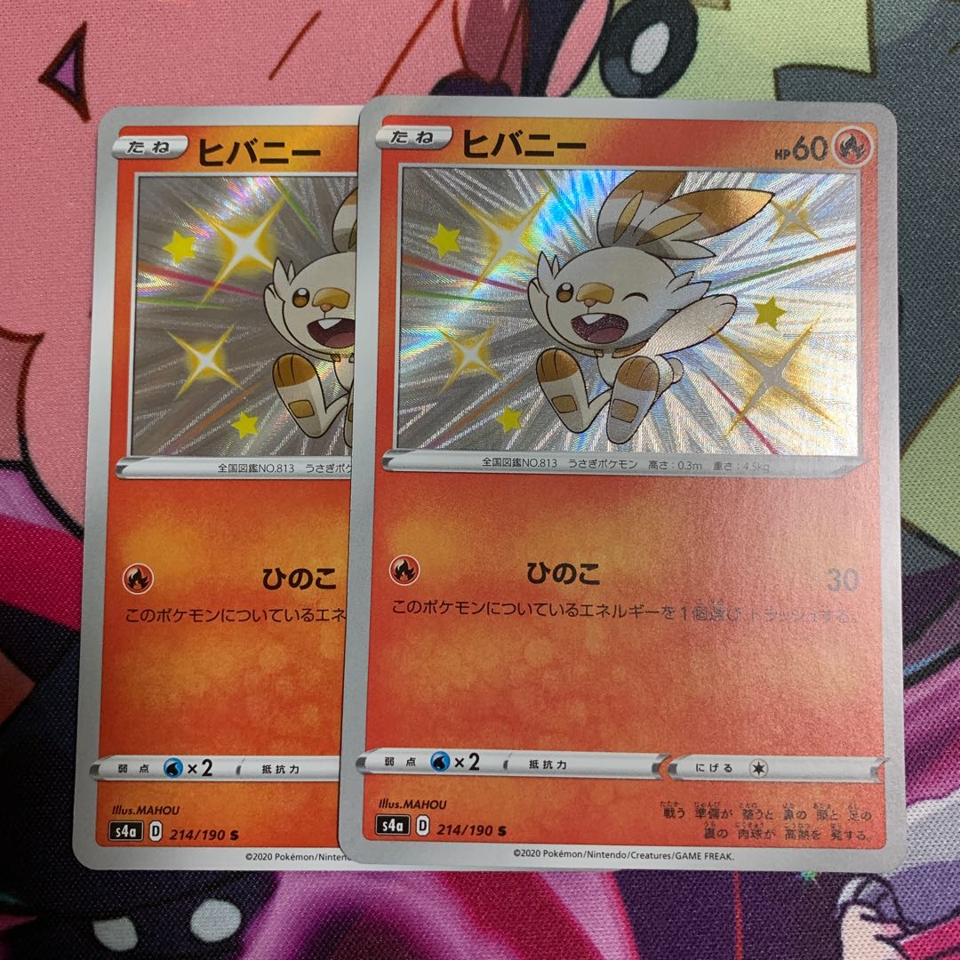 ヒバニー S2枚セット