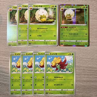 ワタシラガ　ヒメンカ　進化ライン