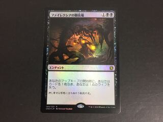 ファイレクシアの闘技場/Phyrexian Arena M1217-1