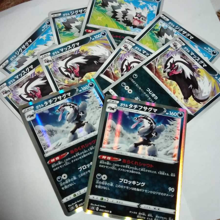 タチフサグマ 進化セット