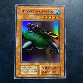 catapult turtle (Melopsittacus truncatus)