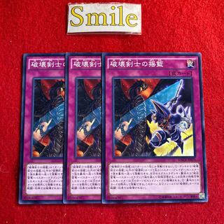 破壊剣士の揺籃#3045