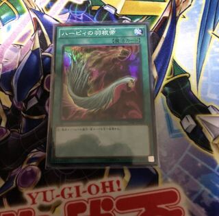 ハーピィの羽根帚