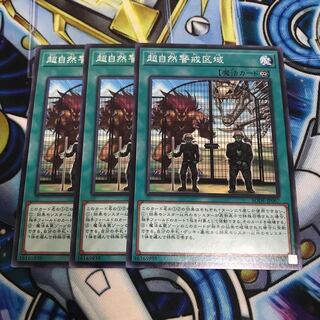 超自然警戒区域 ノーマル　Hulu 2140