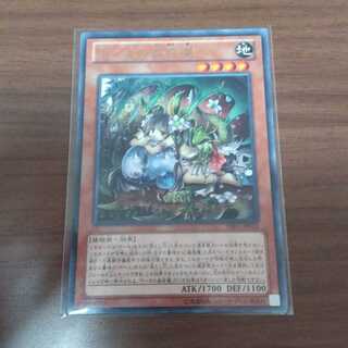 ティオの蟲惑魔 レア