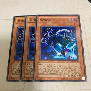 金華猫 ノーマル　3枚特価品