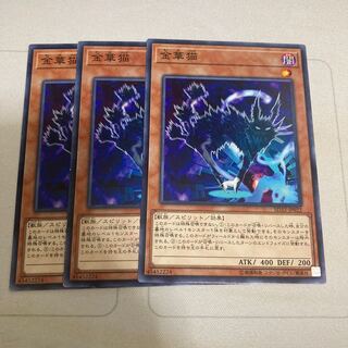 金華猫 ノーマル　3枚特価品