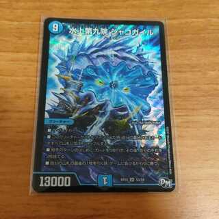 水上第九院 シャコガイル