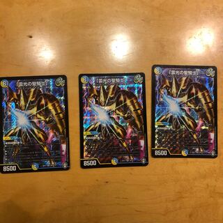 「雷光の聖騎士」