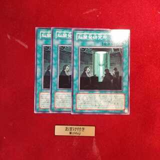 脳開発研究所 ノーマル