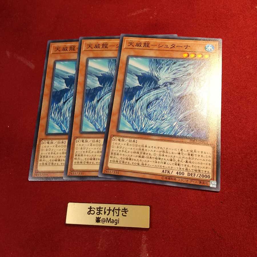 天威龍-シュターナ ノーマル