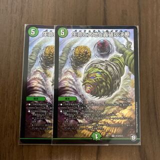 Life Life, Earth and Roaring Decision Set of 2