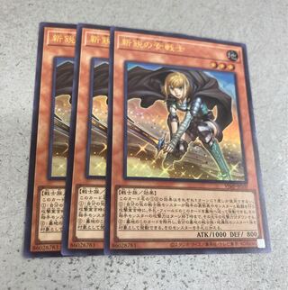 遊戯王 新鋭の女戦士