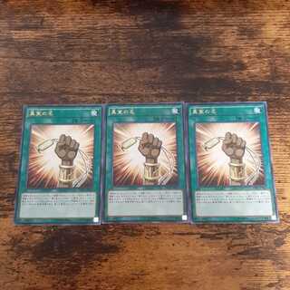 真実の名　スーパー　3枚セット