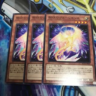 契こうのヴルーレセンス ノーマル　Hulu 2163