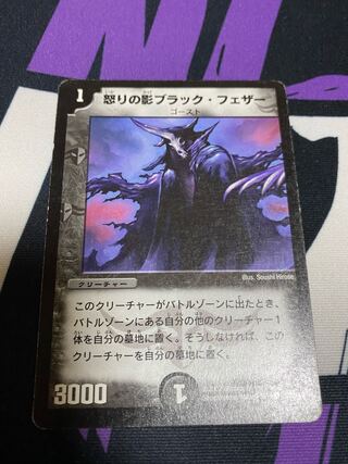 怒りの影ブラック・フェザー