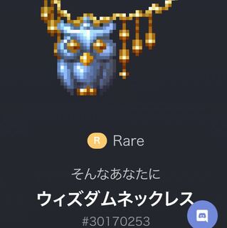 Lv.80 ウィズダムネックレス