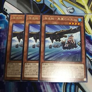 海造賊-黒翼の水先人 レア　Hulu 2204