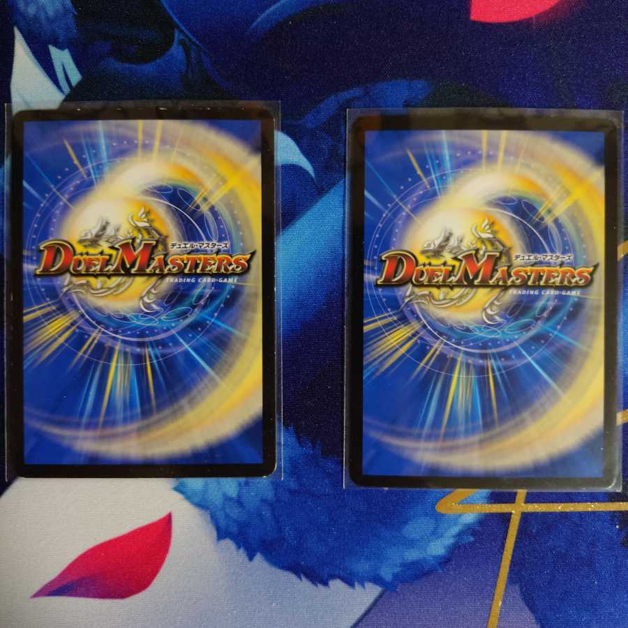 「雷光の聖騎士」