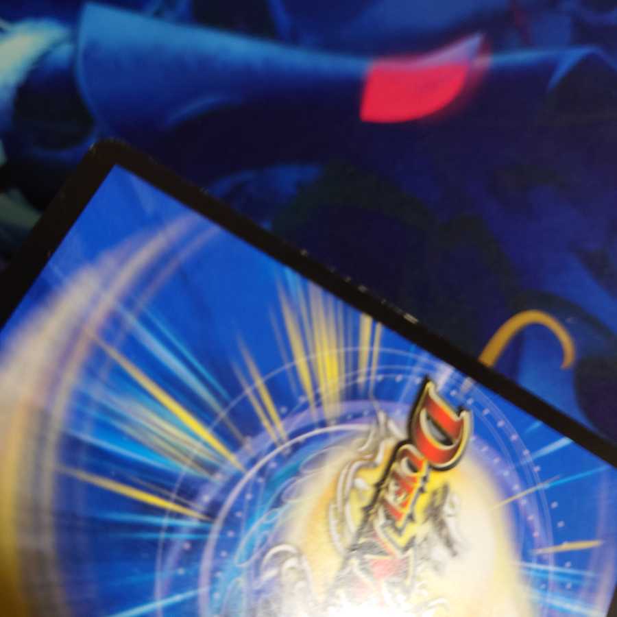 「雷光の聖騎士」