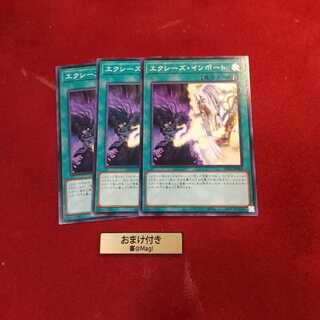 エクシーズ・インポート ノーマル