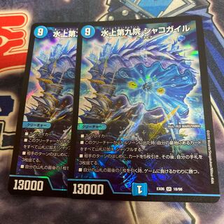 水上第九院 シャコガイル