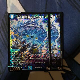 水上第九院 シャコガイル