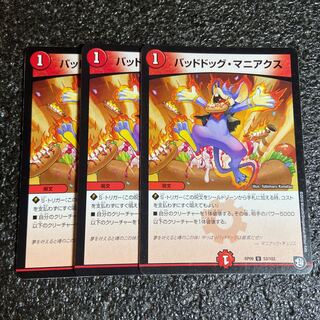 バッドドッグ・マニアクス　3枚