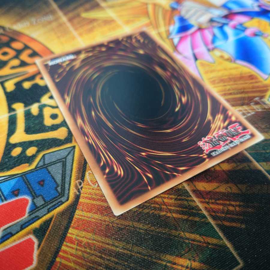 Dragonmaid Sheou(tin2021:US)