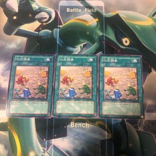 化石調査 3枚 ANPR-JP062