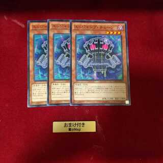 エッジインプ・チェーン ノーマル