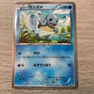 ゼニガメ　001/018