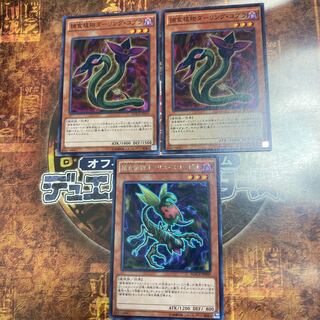遊戯王★捕食植物オフリス・スコーピオ、ダーリング・コブラ★三枚セット★