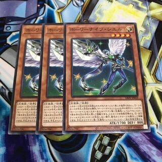 ホーリーナイツ・シエル ノーマル　Hulu 2238